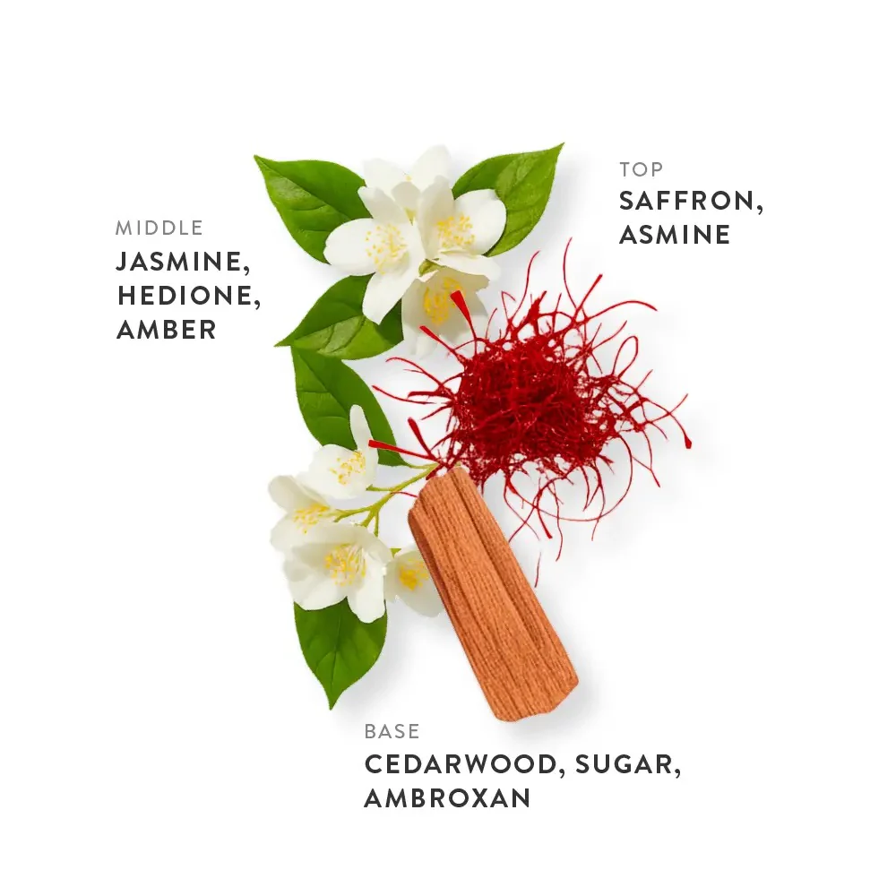 Etleé Perfume Amber Bourbon Eau De Parfum - Image 3