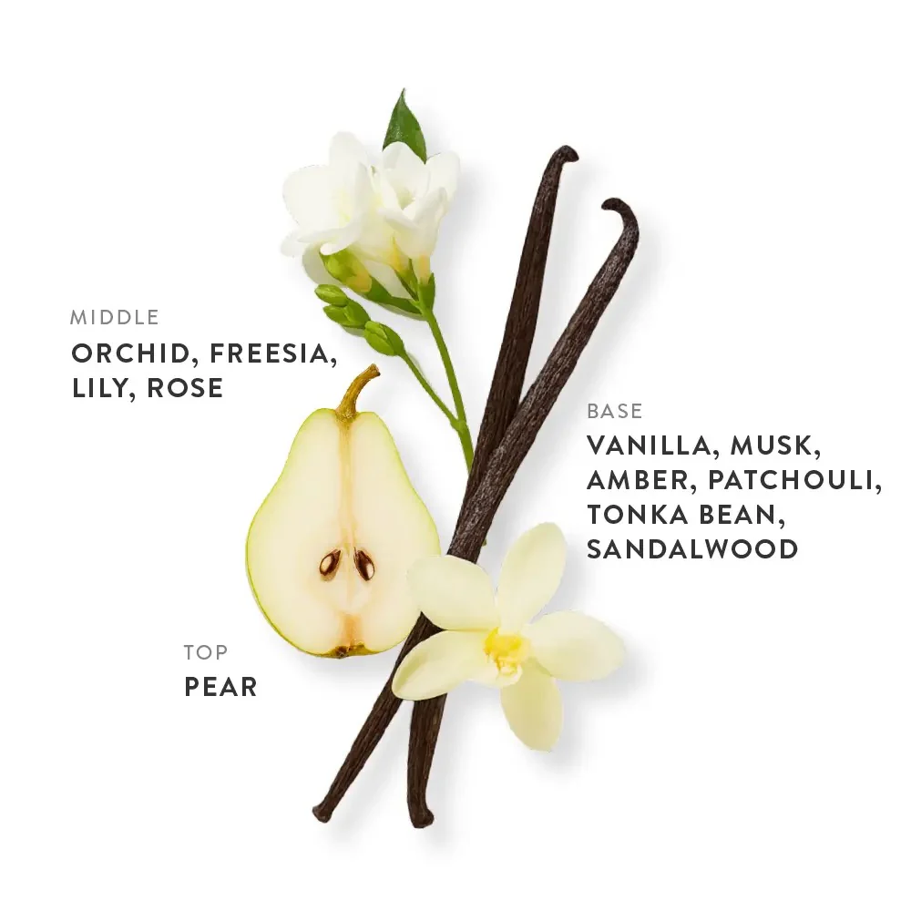 Etleé Perfume French Vanilla Eau De Parfum - Image 3